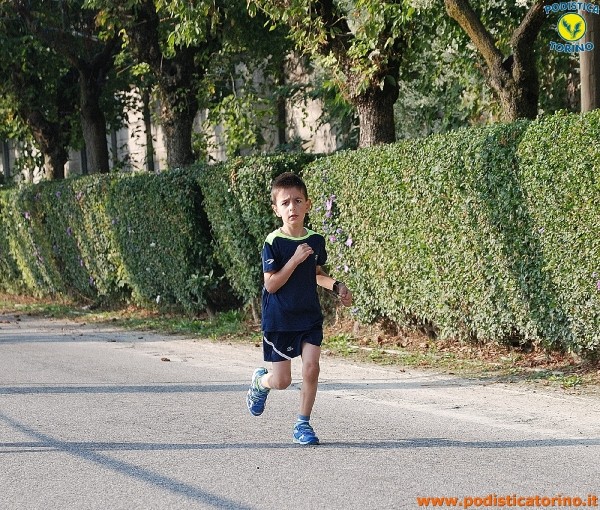Hipporun-433