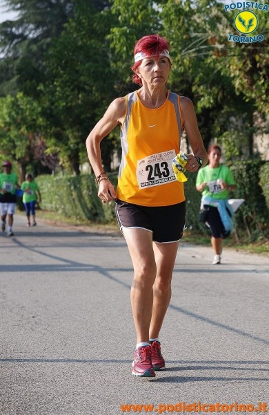 Hipporun-439