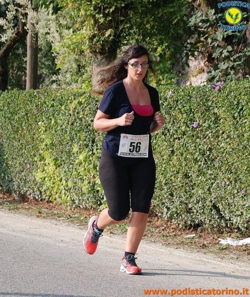 Hipporun-453