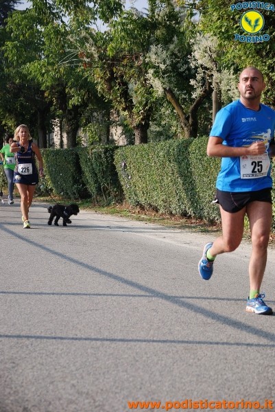 Hipporun-466
