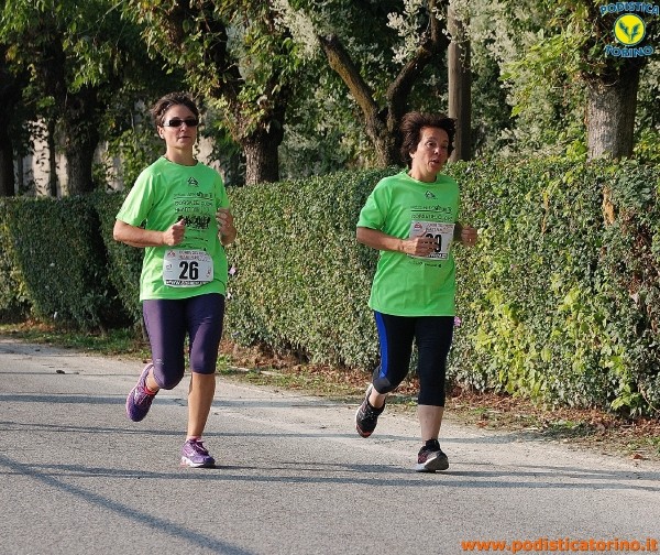 Hipporun-472