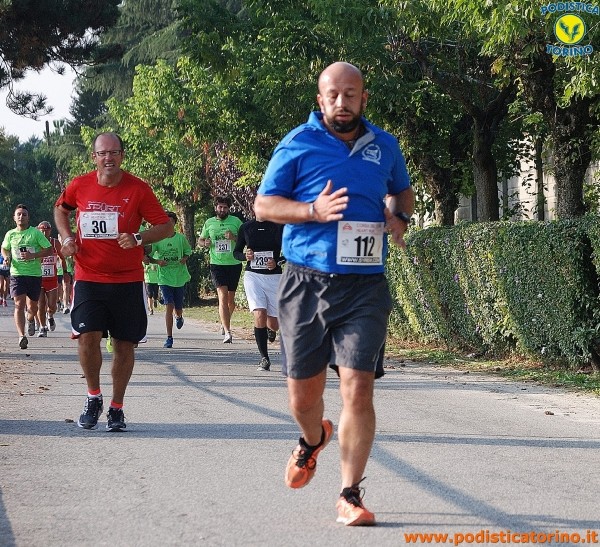 Hipporun-491