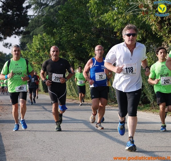 Hipporun-495