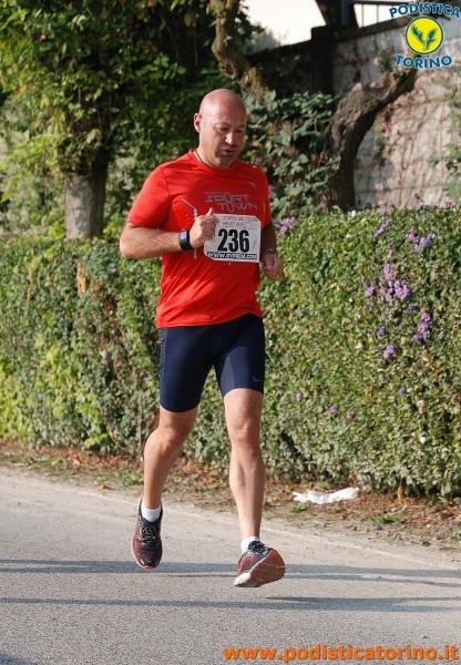 Hipporun-498