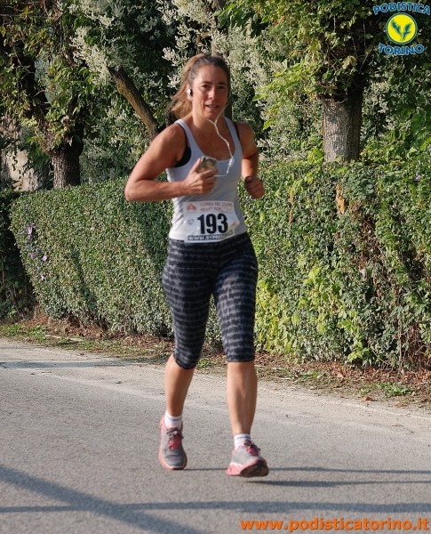 Hipporun-503