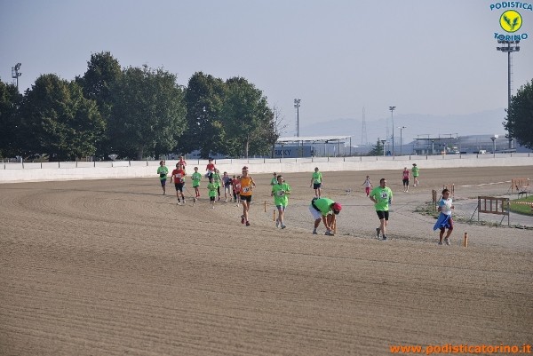 Hipporun-533