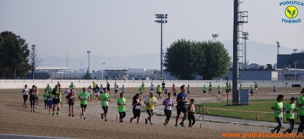 Hipporun-539