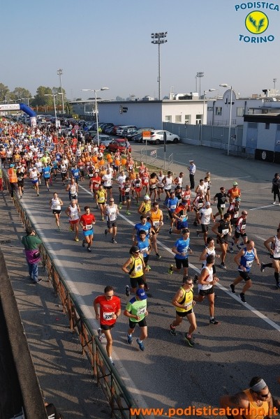 Hipporun-559