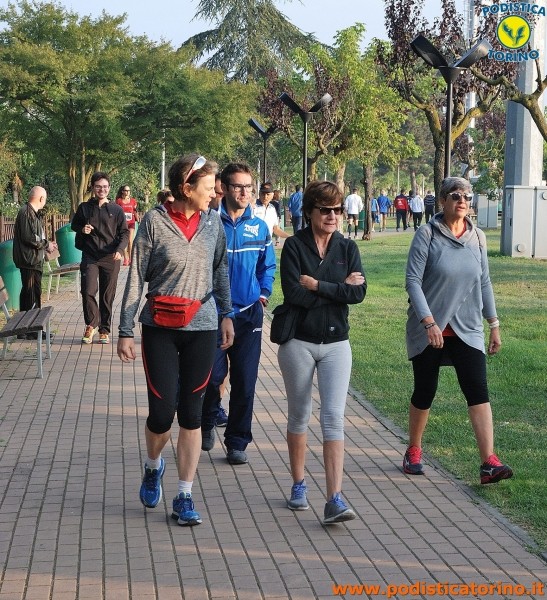 Hipporun-623