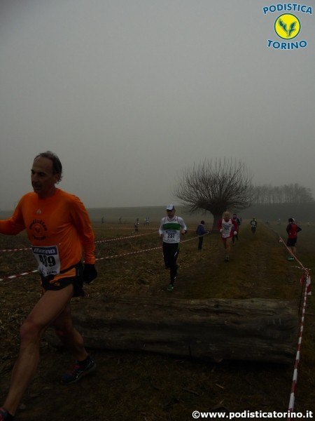 Cross trofarello 2016-71