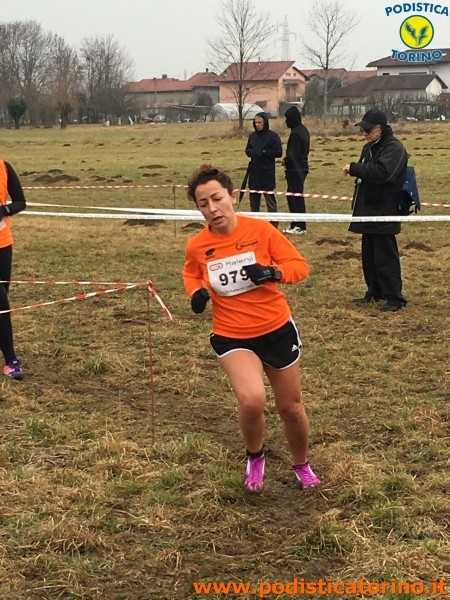 Cross Cirie-85