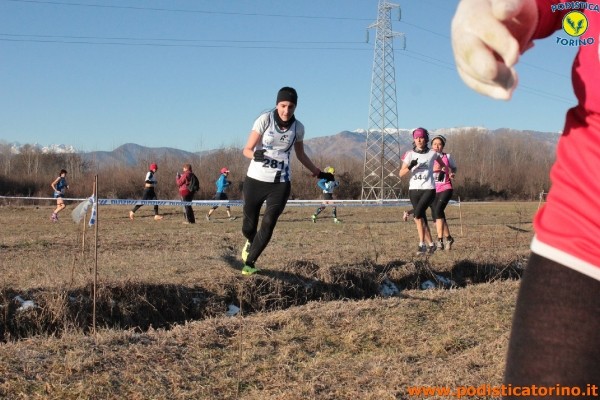 Cross Caselle-219