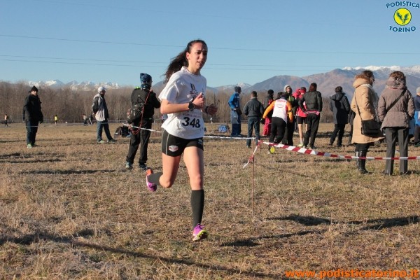 Cross Caselle-234