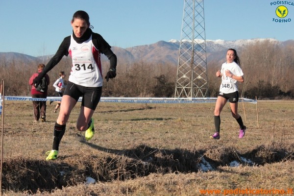Cross Caselle-303