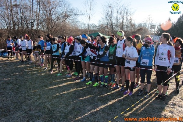 Cross Caselle-357
