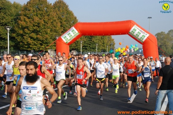 Hipporun-28