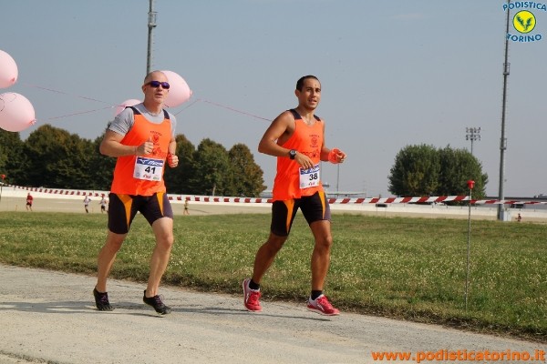 Hipporun-116