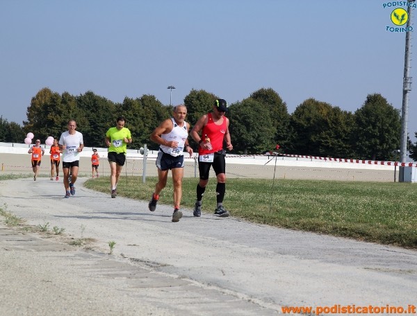 Hipporun-119