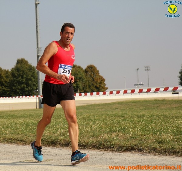Hipporun-13