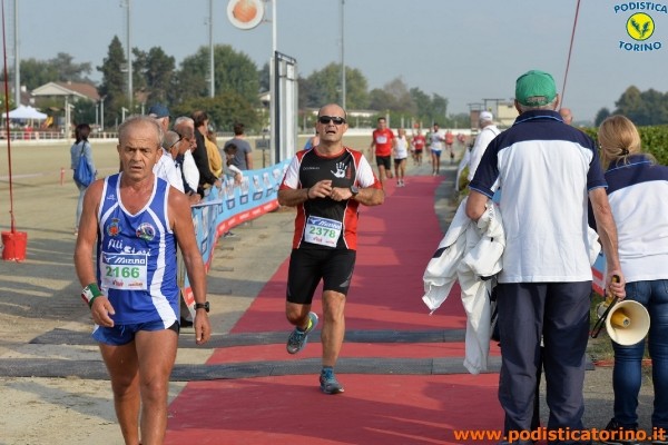 Hipporun-315