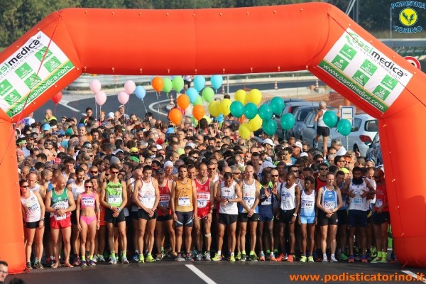 Hipporun-29