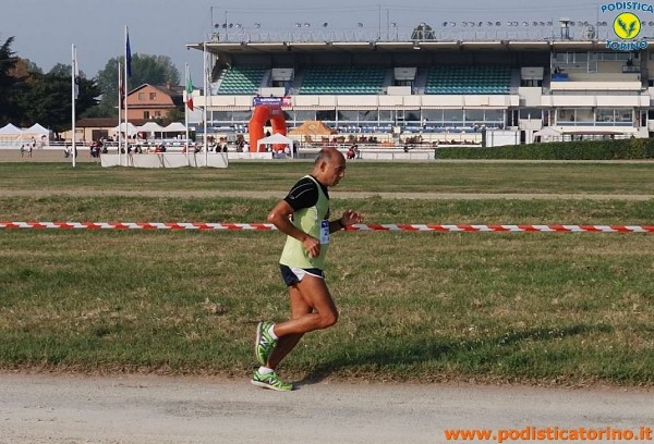 Hipporun-118