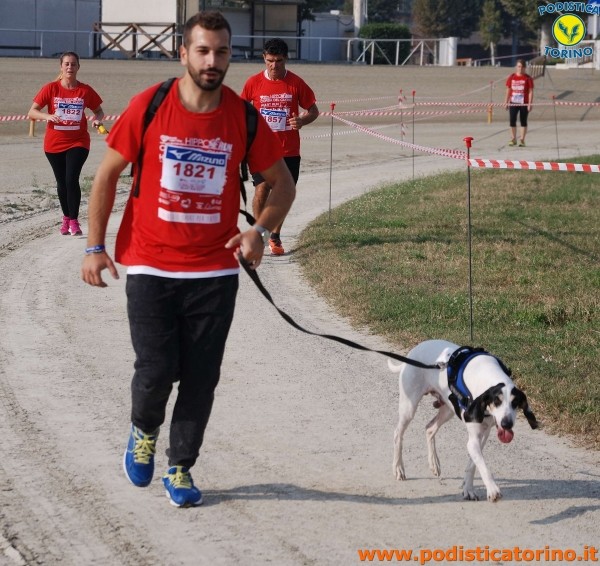 Hipporun-180