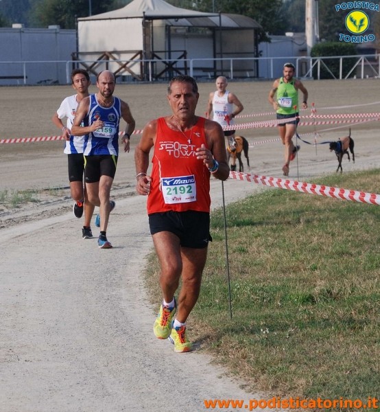 Hipporun-29