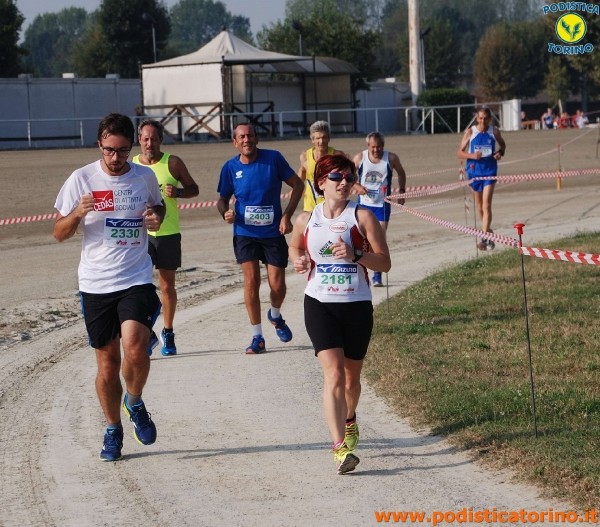 Hipporun-378