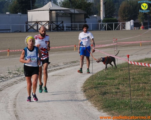 Hipporun-432