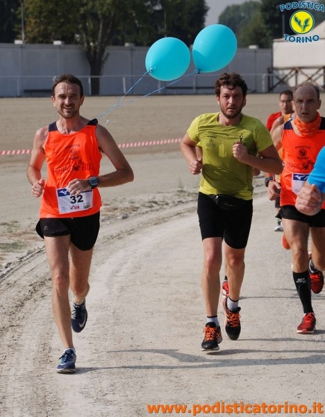 Hipporun-458