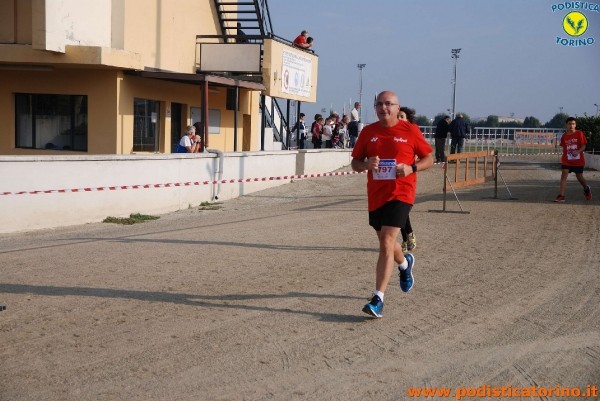 Hipporun-503