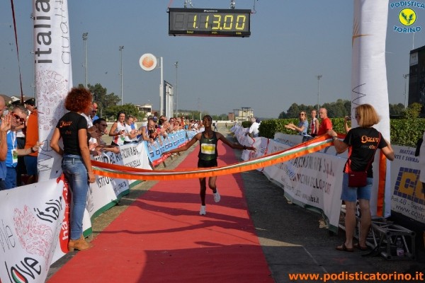 Hipporun 2018-114
