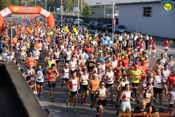 Hipporun 2018-274