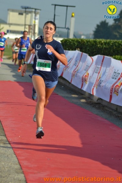 Hipporun 2018-262