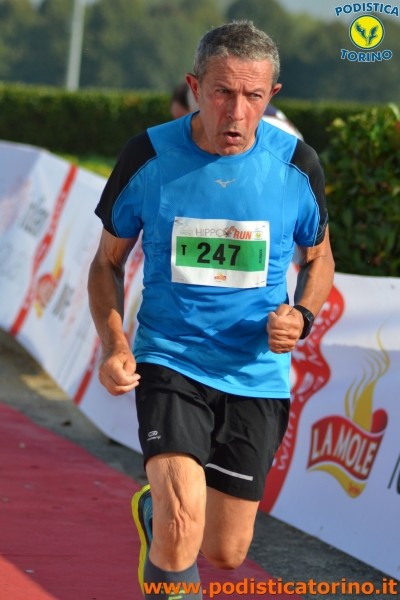 Hipporun 2018-273