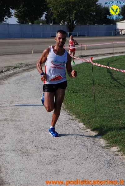 Hipporun 2018-115