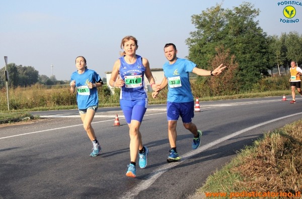Hippoten 2018-104