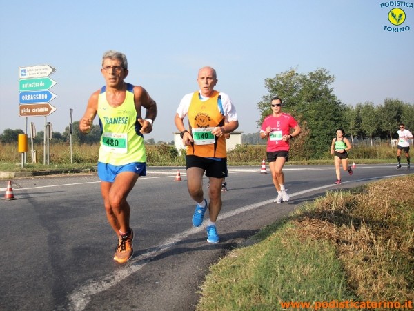 Hippoten 2018-225