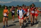MezzadiVarenne-208