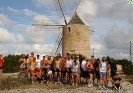 Formenterabyalex-401