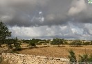 Formenterabyalex-439