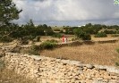 Formenterabyalex-442