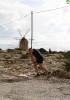 Formenterabyalex-447