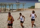 Formenterabyalex-540