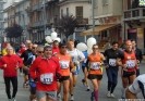 13/11/2011 - Turin Marathon by Antony