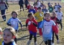 Crossscarmagno2012-112