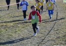 Crossscarmagno2012-114