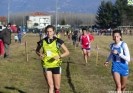 Crossscarmagno2012-20