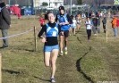 Crossscarmagno2012-22